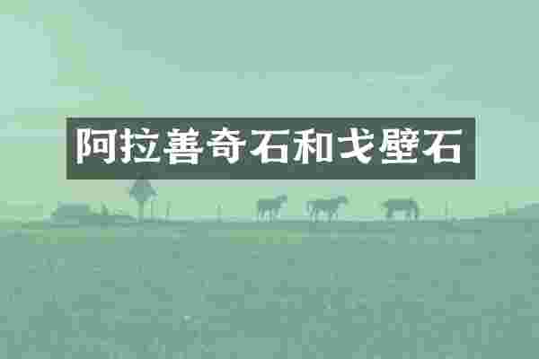 阿拉善奇石和戈壁石