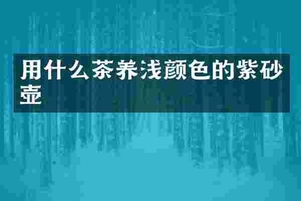 用什么茶养浅颜色的紫砂壶