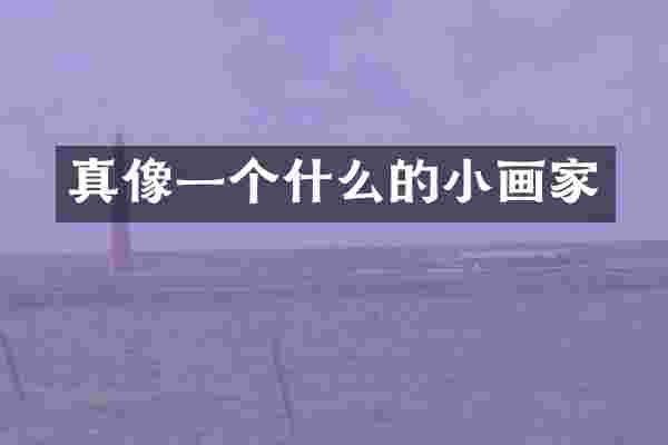 真像一个什么的小画家