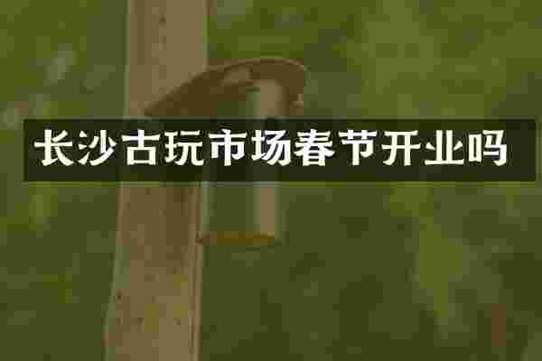 长沙古玩市场春节开业吗