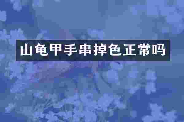 山龟甲手串掉色正常吗