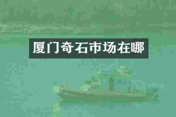 厦门奇石市场在哪