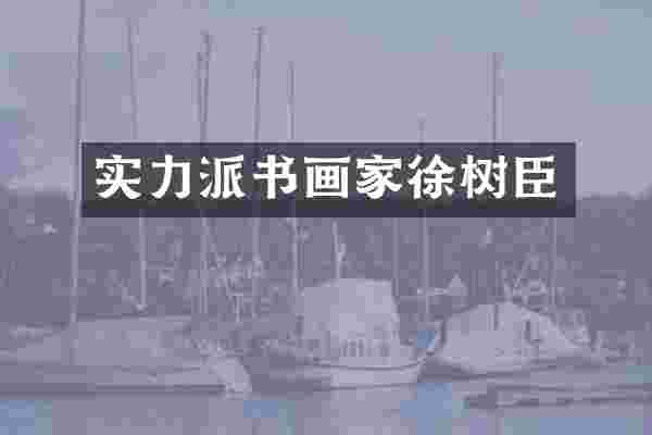 实力派书画家徐树臣