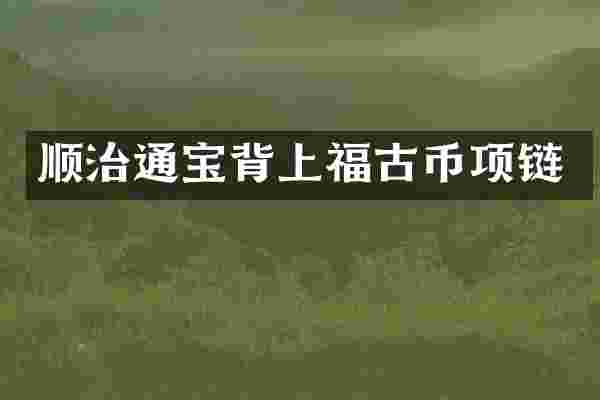 顺治通宝背上福古币项链