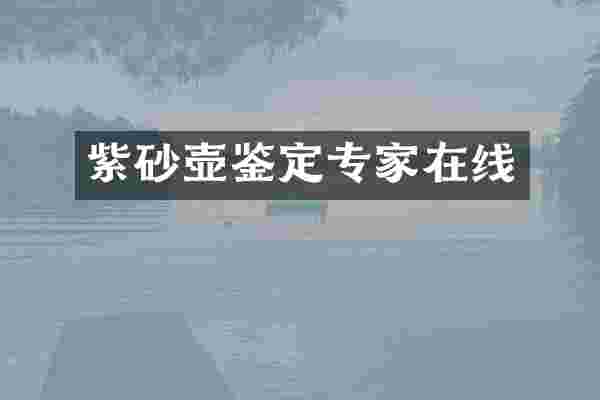 紫砂壶鉴定专家在线