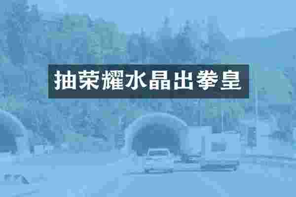 抽荣耀水晶出拳皇