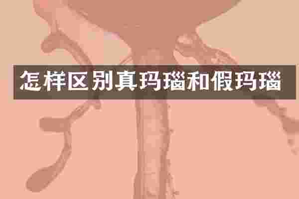 怎样区别真玛瑙和假玛瑙