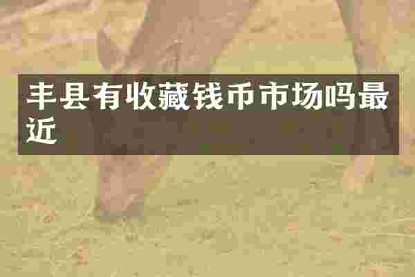 丰县有收藏钱币市场吗最近