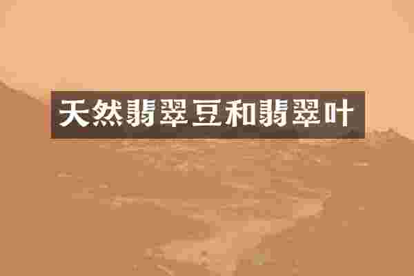 天然翡翠豆和翡翠叶