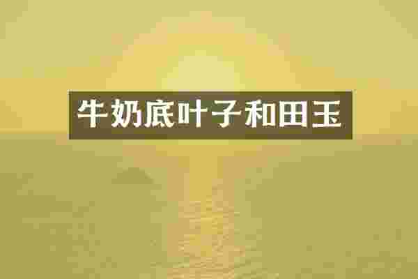 牛奶底叶子和田玉