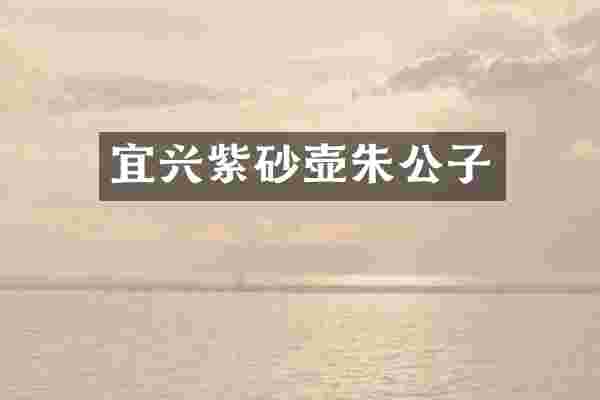 宜兴紫砂壶朱公子