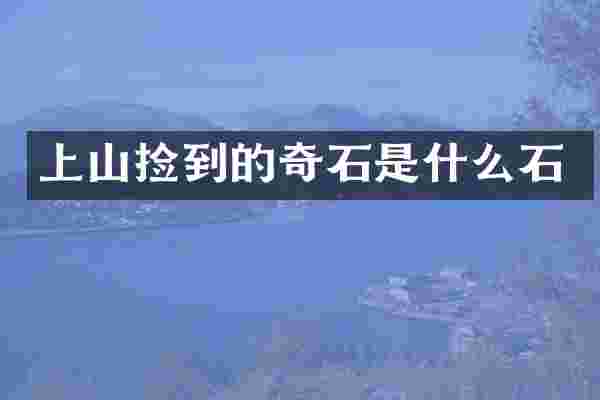 上山捡到的奇石是什么石