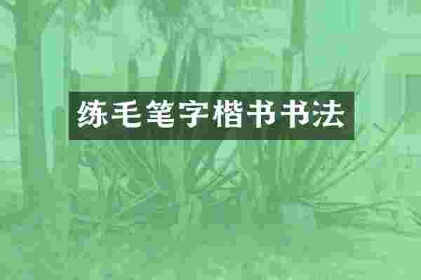 练毛笔字楷书书法