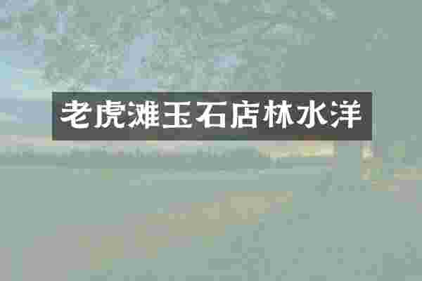 老虎滩玉石店林水洋