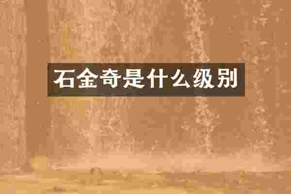 石金奇是什么级别