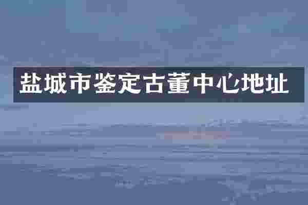 盐城市鉴定古董中心地址
