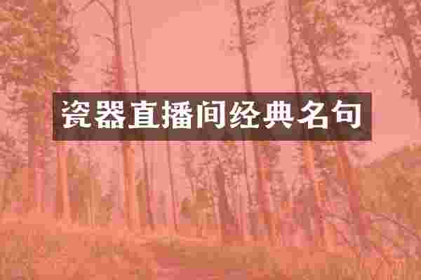 瓷器直播间经典名句