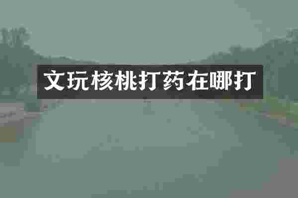 文玩核桃打药在哪打