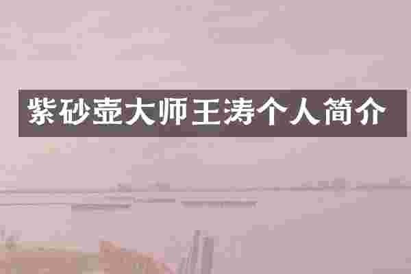 紫砂壶大师王涛个人简介