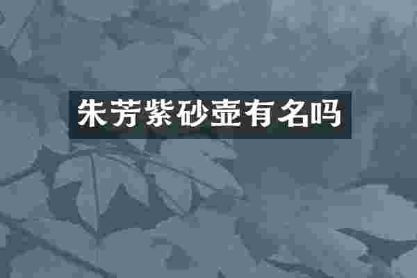 朱芳紫砂壶有名吗