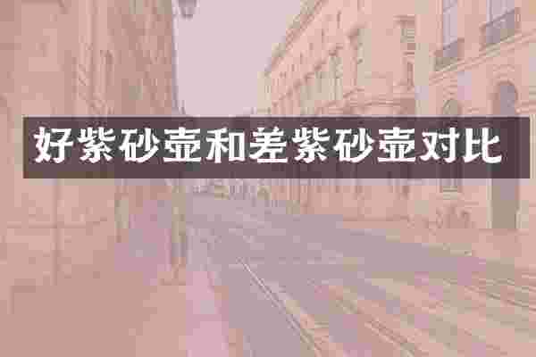 好紫砂壶和差紫砂壶对比