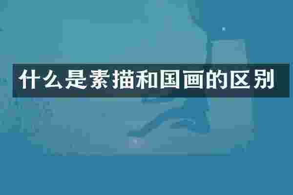 什么是素描和国画的区别