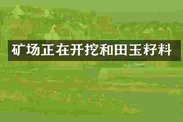 矿场正在开挖和田玉籽料