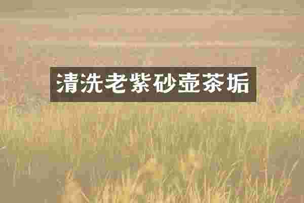 清洗老紫砂壶茶垢