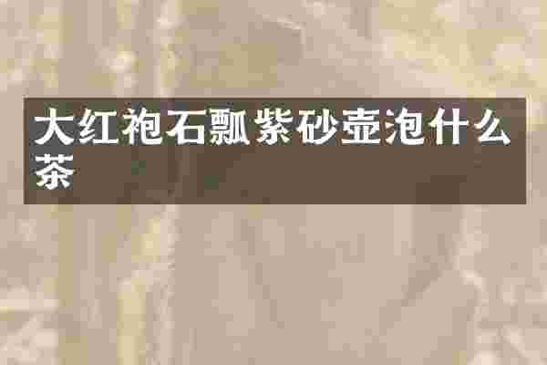 大红袍石瓢紫砂壶泡什么茶
