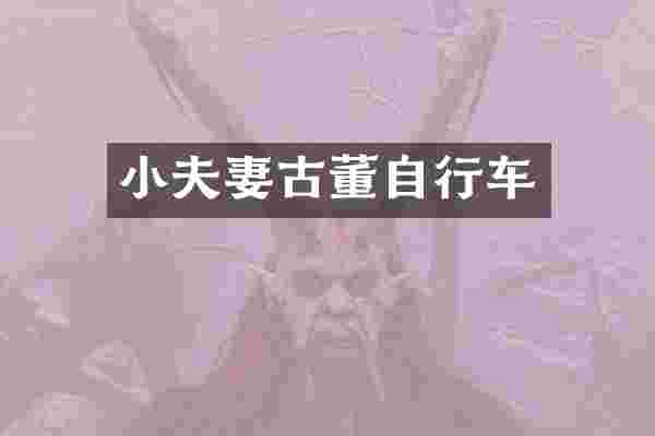 小夫妻古董自行车