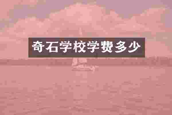 奇石学校学费多少