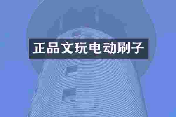 正品文玩电动刷子