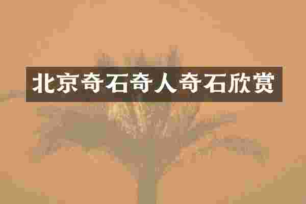 北京奇石奇人奇石欣赏