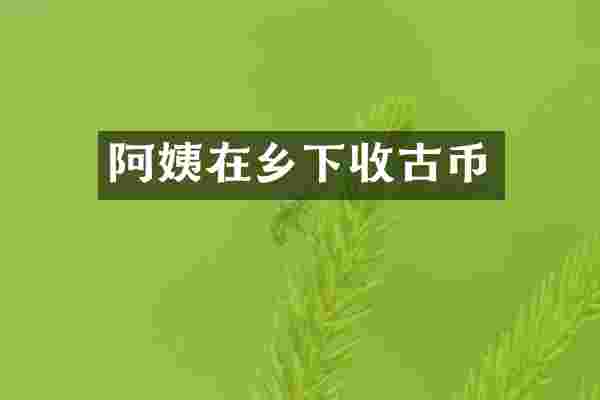 阿姨在乡下收古币