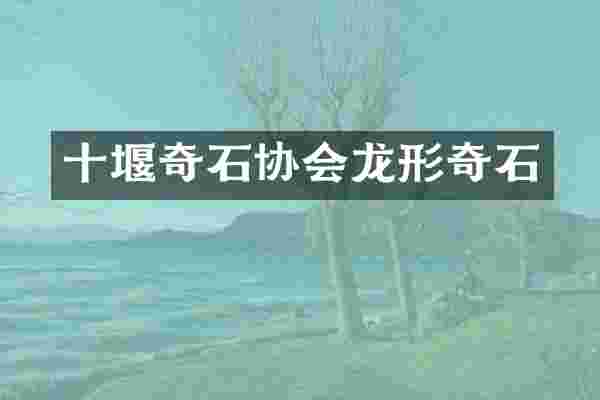 十堰奇石协会龙形奇石