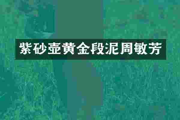 紫砂壶黄金段泥周敏芳