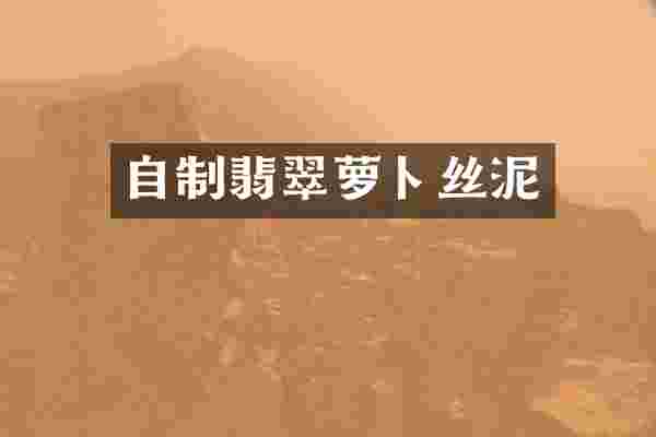 自制翡翠萝卜丝泥