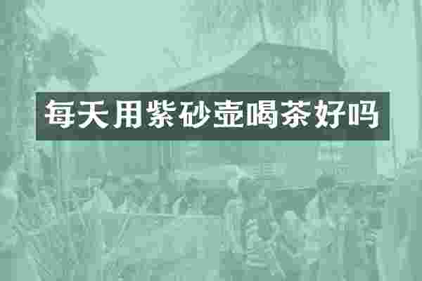 每天用紫砂壶喝茶好吗