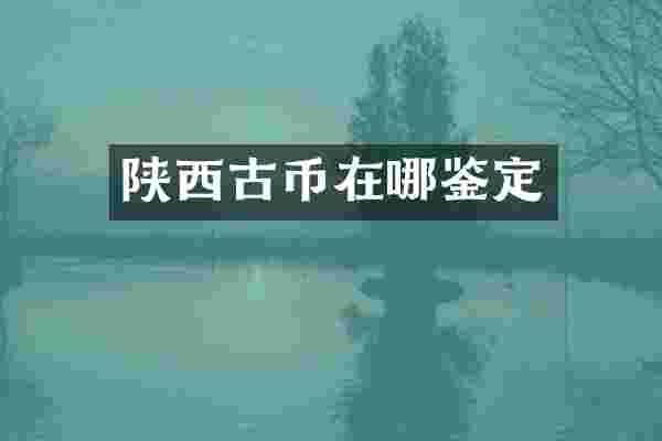 陕西古币在哪鉴定