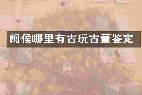 闽侯哪里有古玩古董鉴定