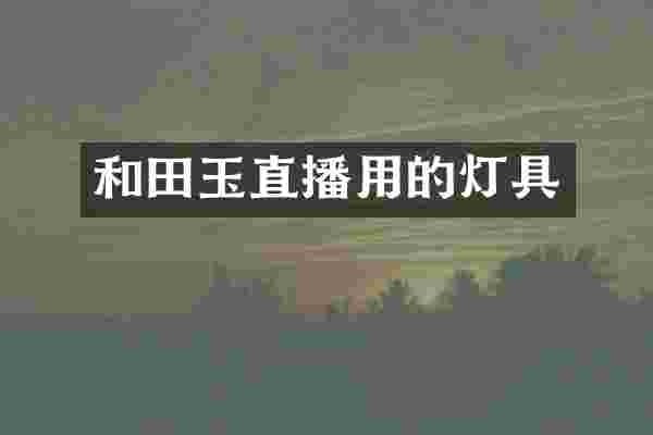 和田玉直播用的灯具