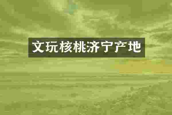 文玩核桃济宁产地