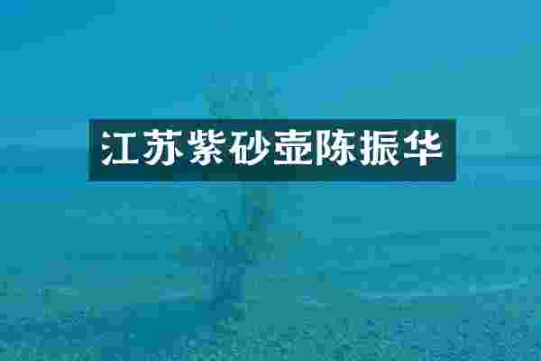江苏紫砂壶陈振华