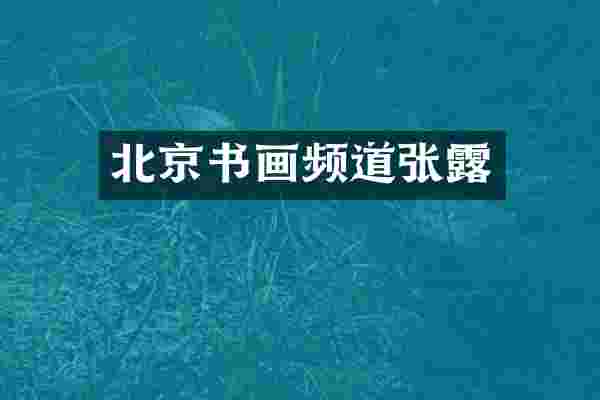 北京书画频道张露