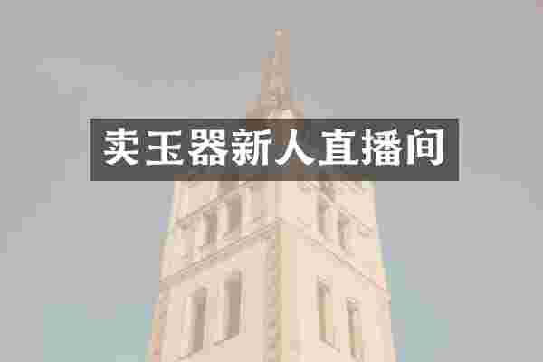 卖玉器新人直播间