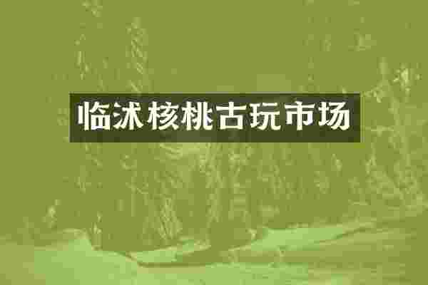 临沭核桃古玩市场