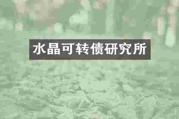 水晶可转债研究所