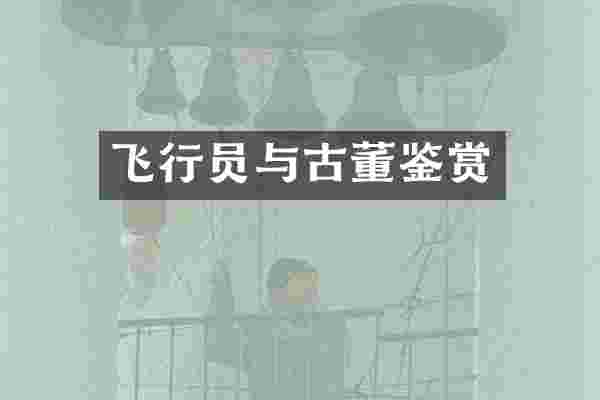 飞行员与古董鉴赏