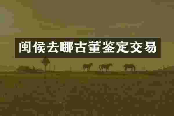 闽侯去哪古董鉴定交易