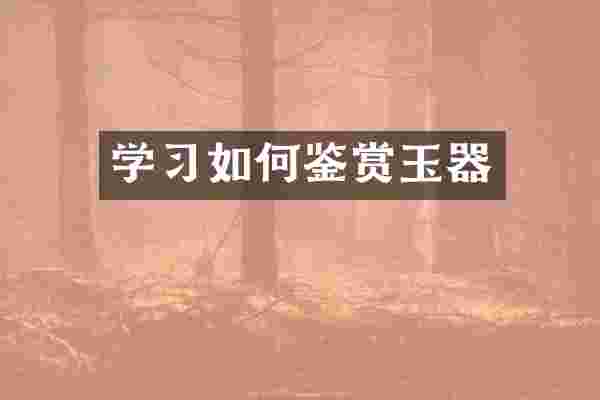 学习如何鉴赏玉器